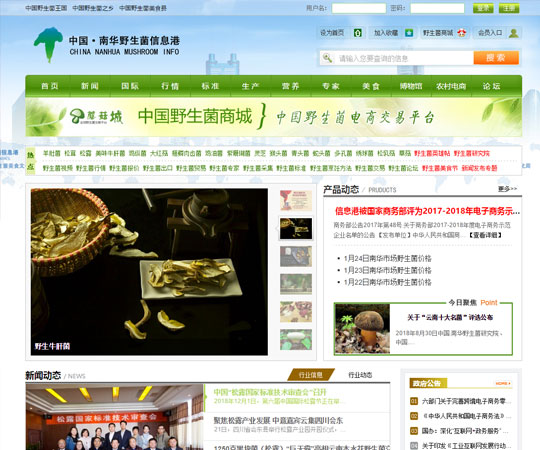 中国·南华野生菌信息港